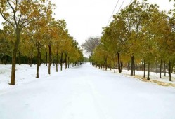 娱乐圈吃瓜新闻播报,明星恋情、绯闻、幕后故事大揭秘！