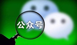 吃瓜群众cj的公众号,揭秘娱乐圈那些不为人知的幕后故事