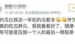 吃瓜群众娱乐账号是什么,揭秘娱乐圈幕后故事