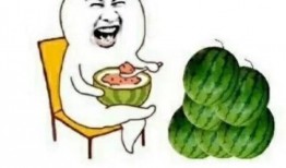 吃瓜娱乐猪,揭秘娱乐圈背后的趣味故事