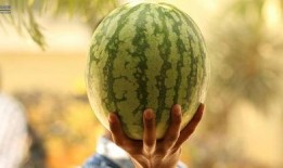 2021娱乐圈吃瓜不断,瓜田李下，明星风云录